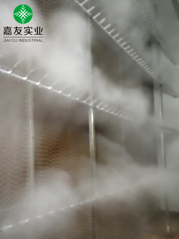 光伏車間空調(diào)機(jī)組高壓微霧加濕器 (6)