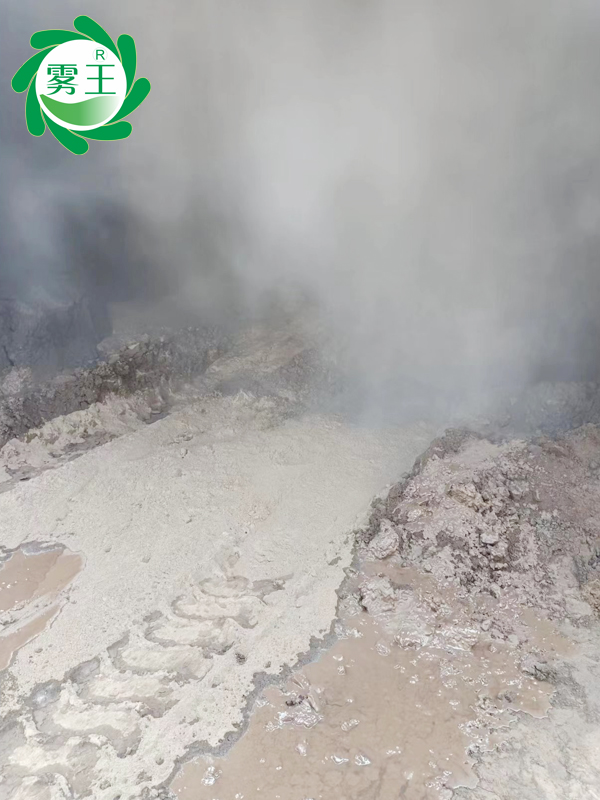 熱電廠(chǎng)燃燒煤卸料口噴霧降塵系統(tǒng) (3)